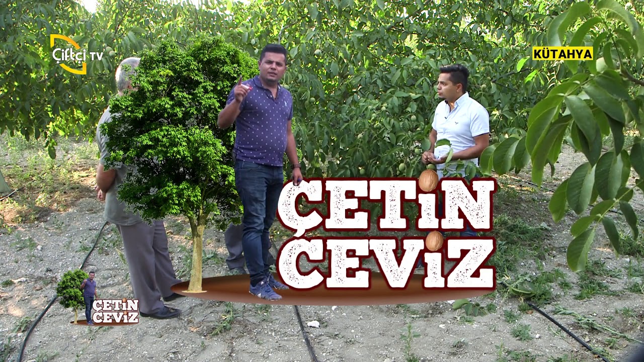 çiftçi tv çetin ceviz